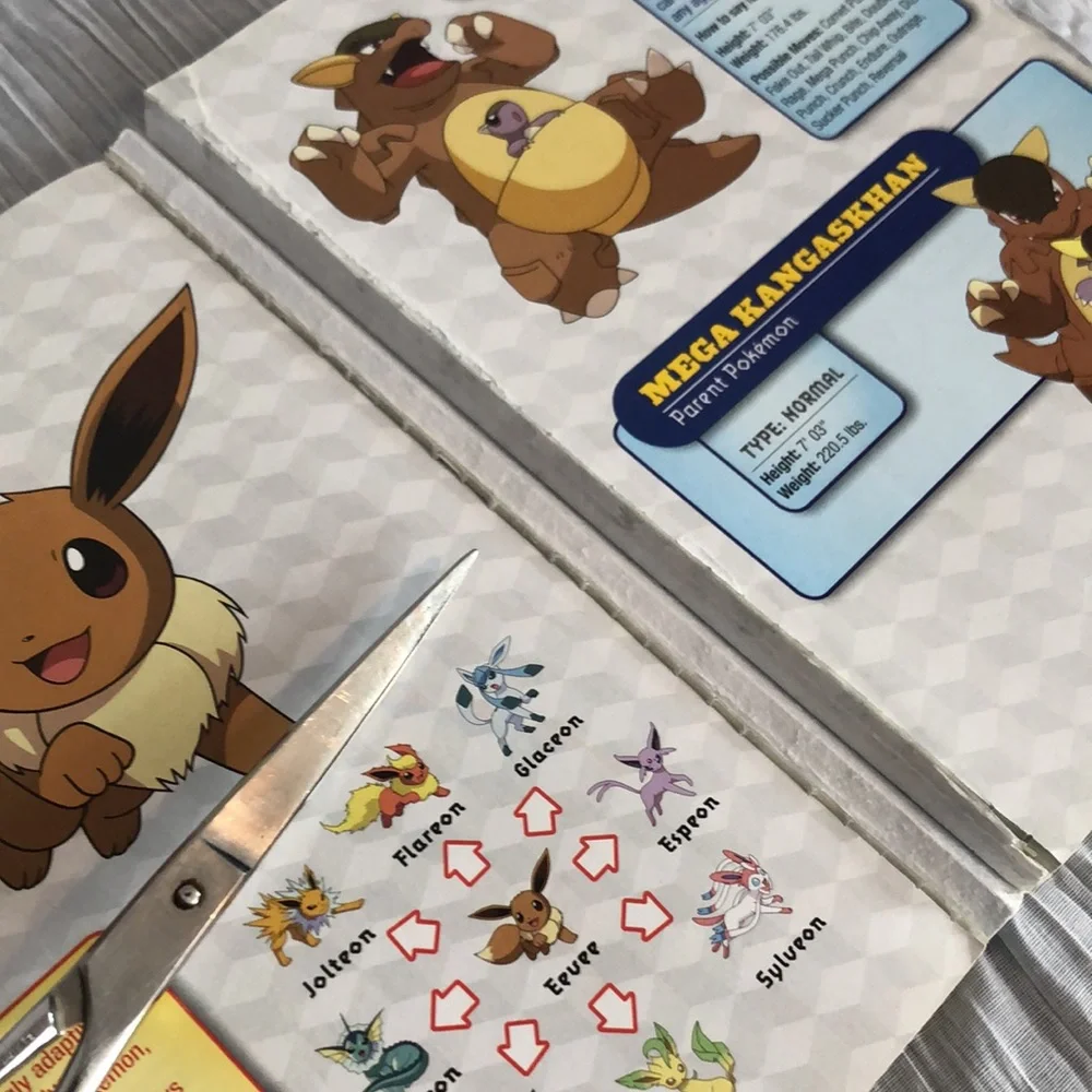 Pokemon get ready